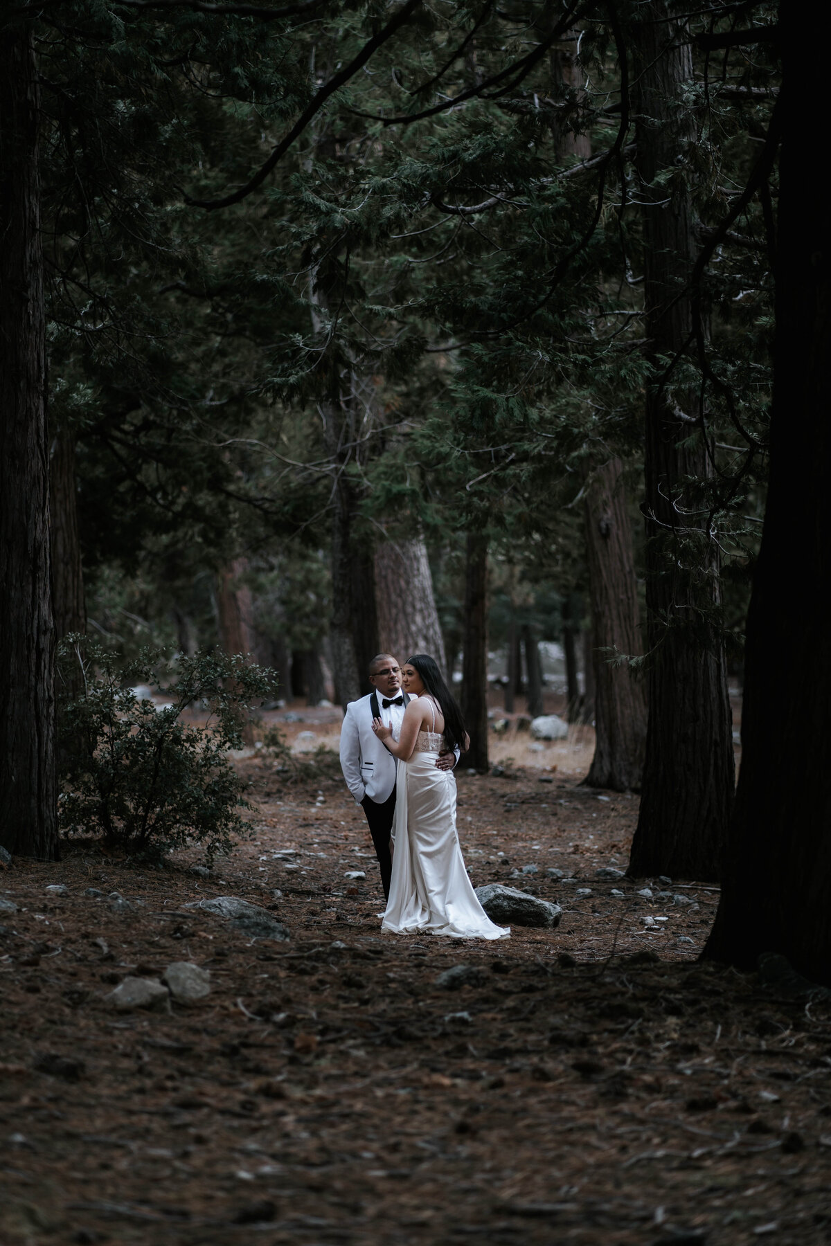 elegant-intimate-elopement-forest-falls-vivian-creek-california-964