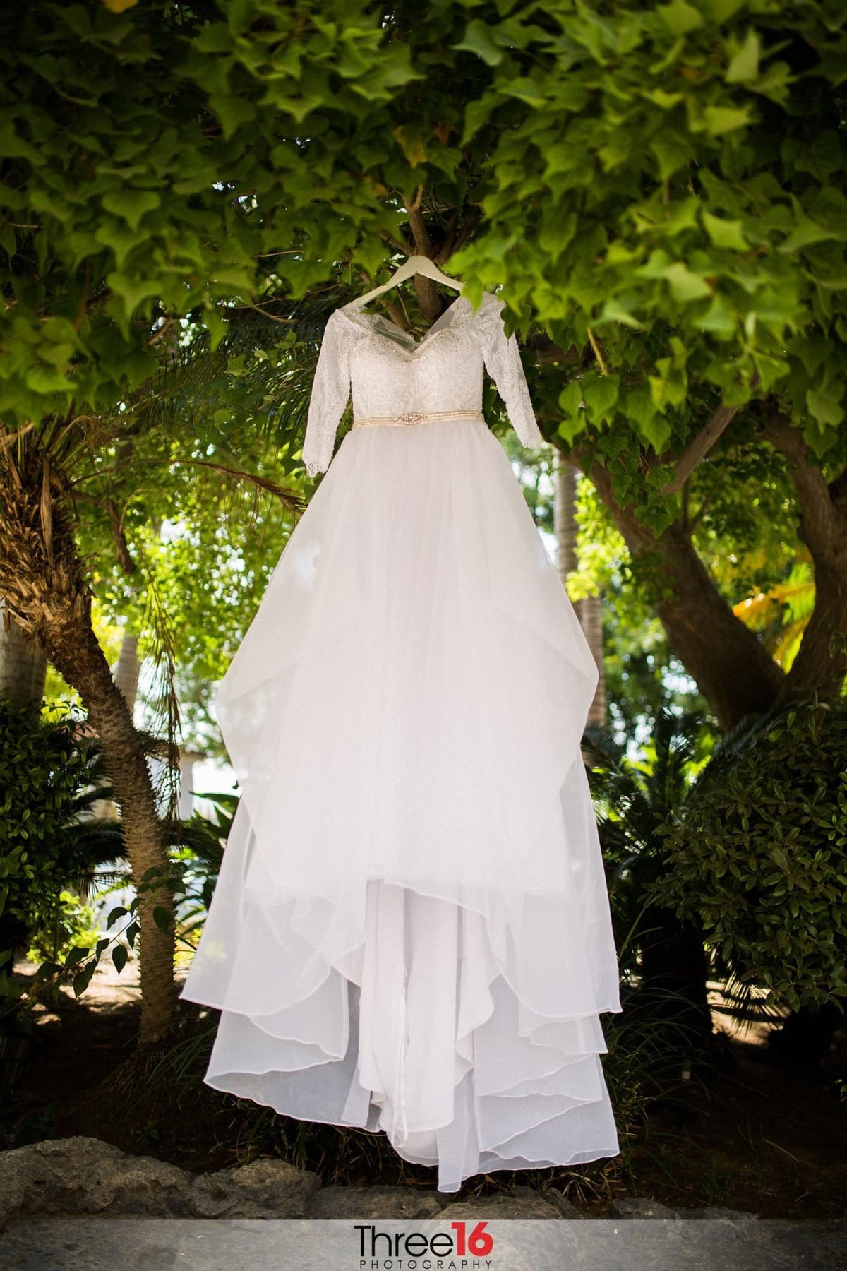 Brides wedding gown hanging from a tree