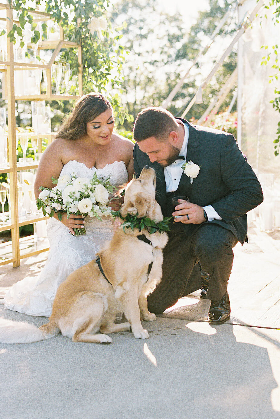 Dog with bride and groom during their destination wedding