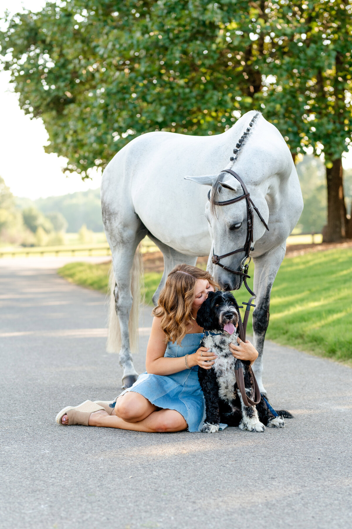 Photos of women who love horses and dogs. Birmingham photographer.