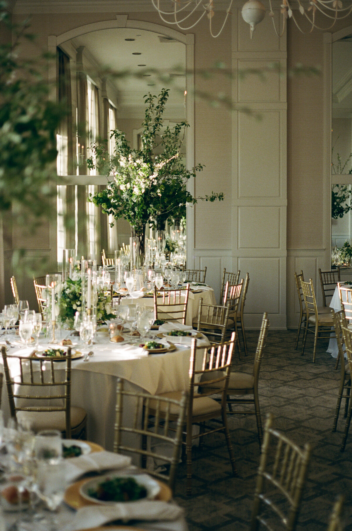 kodak_professional_portra_400_04_28_2025_000239160017