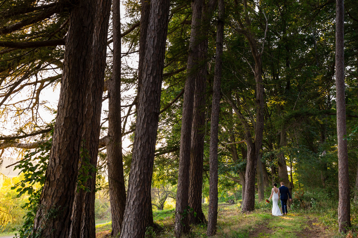 The couple walks among the trees at the Barn at Crane Estate in Ipswich Massachusetts