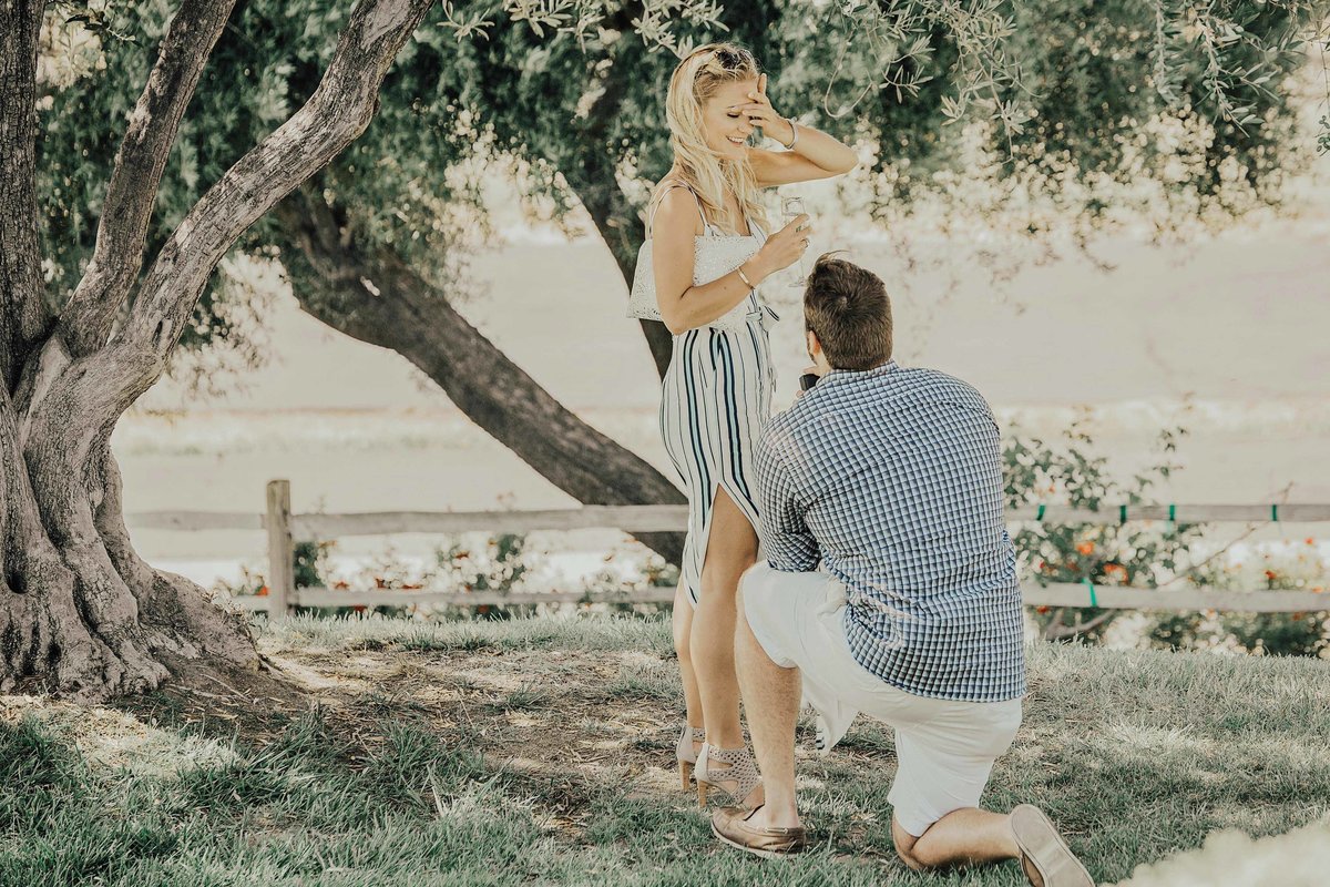 Babsie-Ly-Photography-Fine-Art-Film-Surprise-Proposal-Photographer-Temecula-Thornton-Winery-California-002