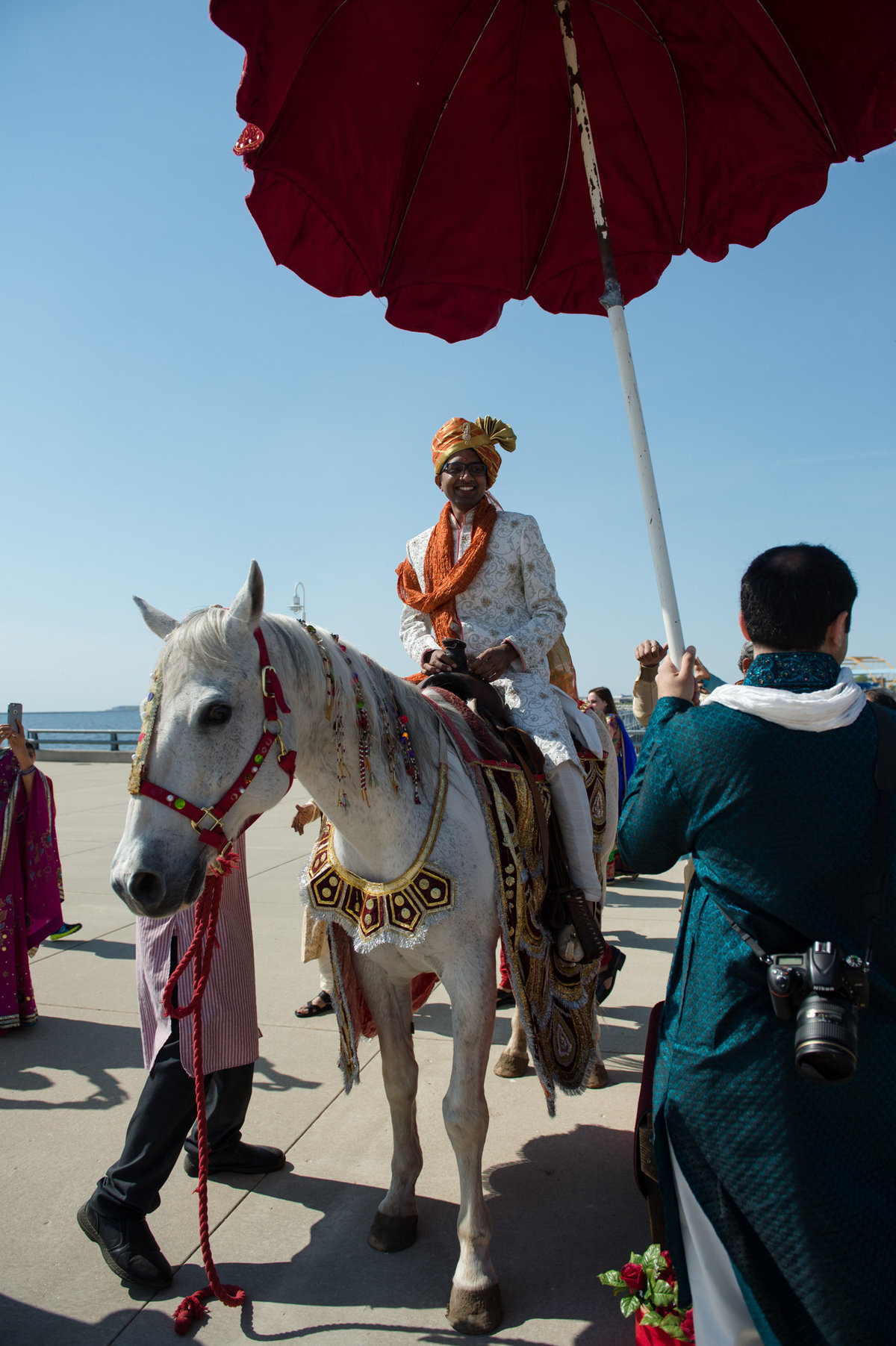 Horse, Documentary Wedding Photography, Milwaukee, Discovery World Wedding
