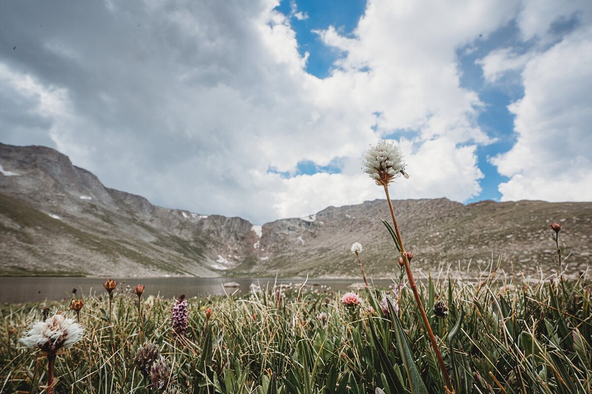 mount-evans-colorado_0359