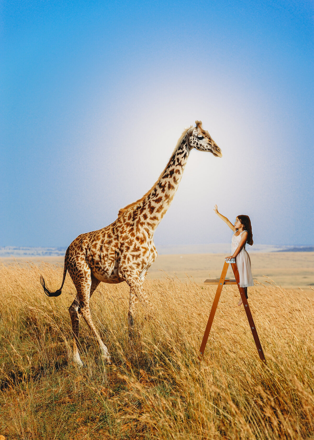 giraffe, ladder, imagination