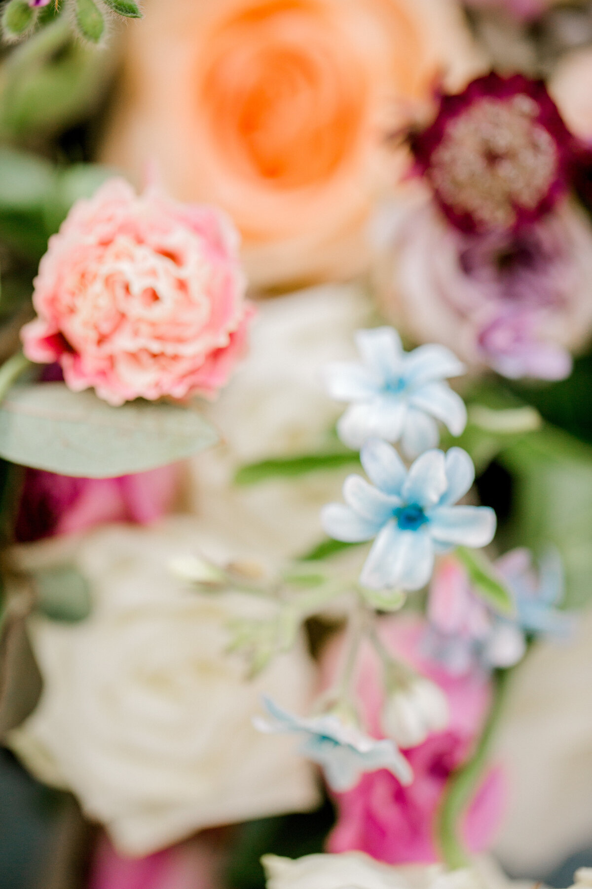 Ava Loren Design Floral Artist Designer Wedding Norfolk Botanical Gardens Andrew & Tianna Photography-271