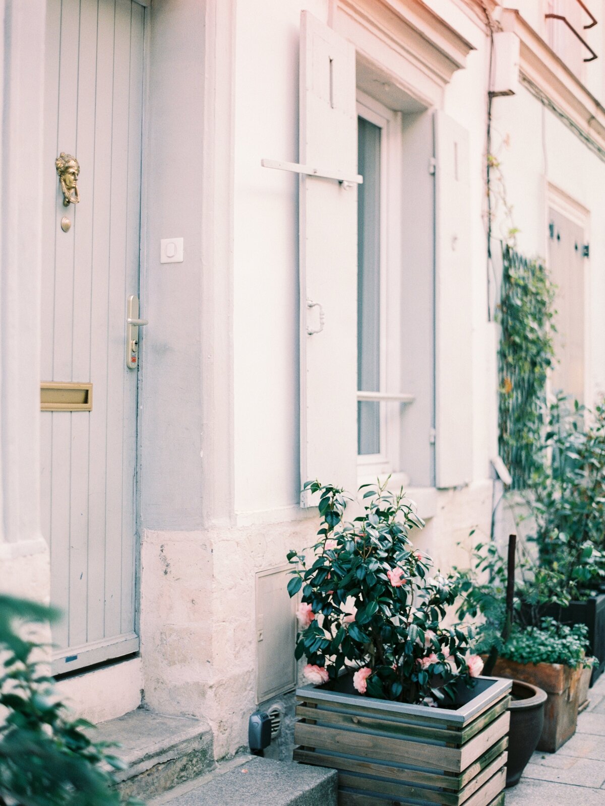 pexels-yaroslava-borz-10049569