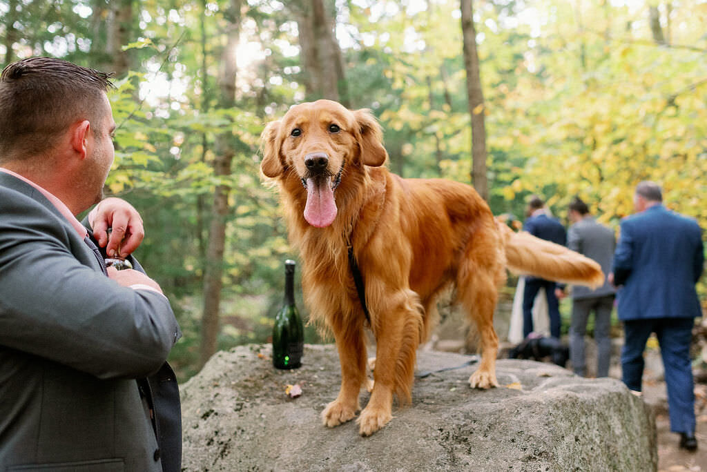 Timeless destination wedding photography with refined, editorial artistry in Oregon and the Adirondacks.
