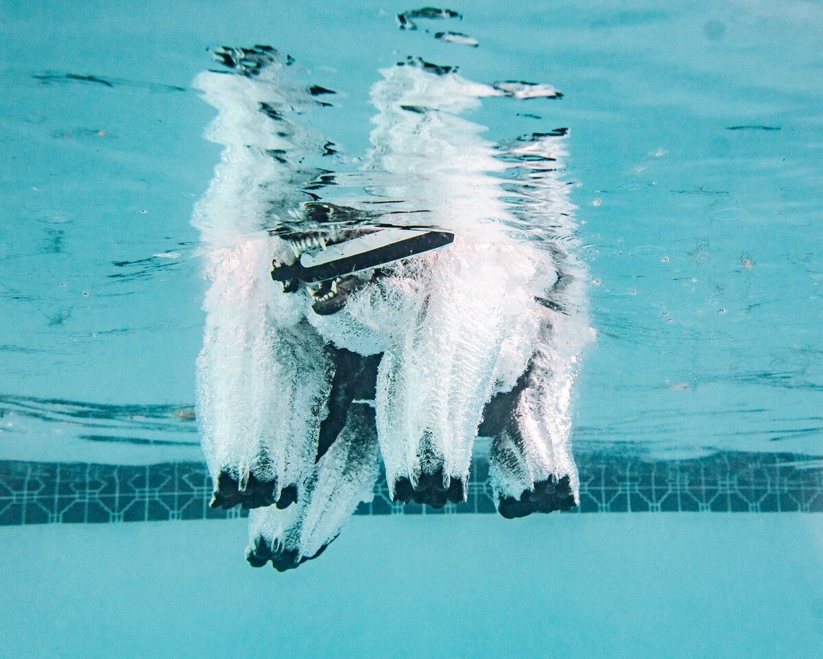 Underwater Photography-3