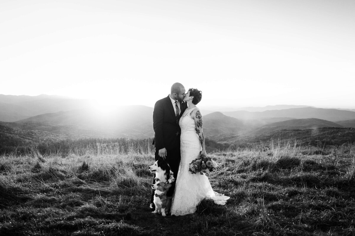 Max-Patch-NC-Mountain-Elopement-53