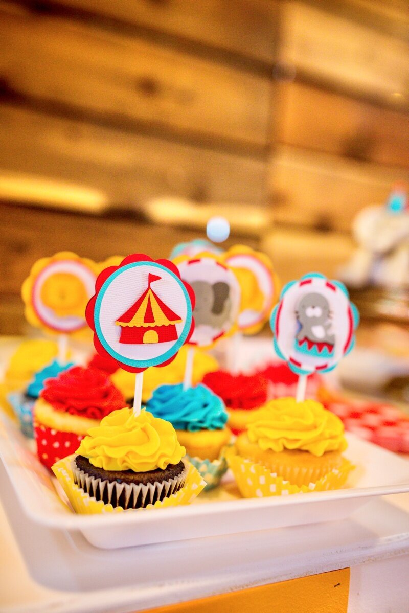 Circus Themed 1st Birthday Indianapolis Party Planner_0058