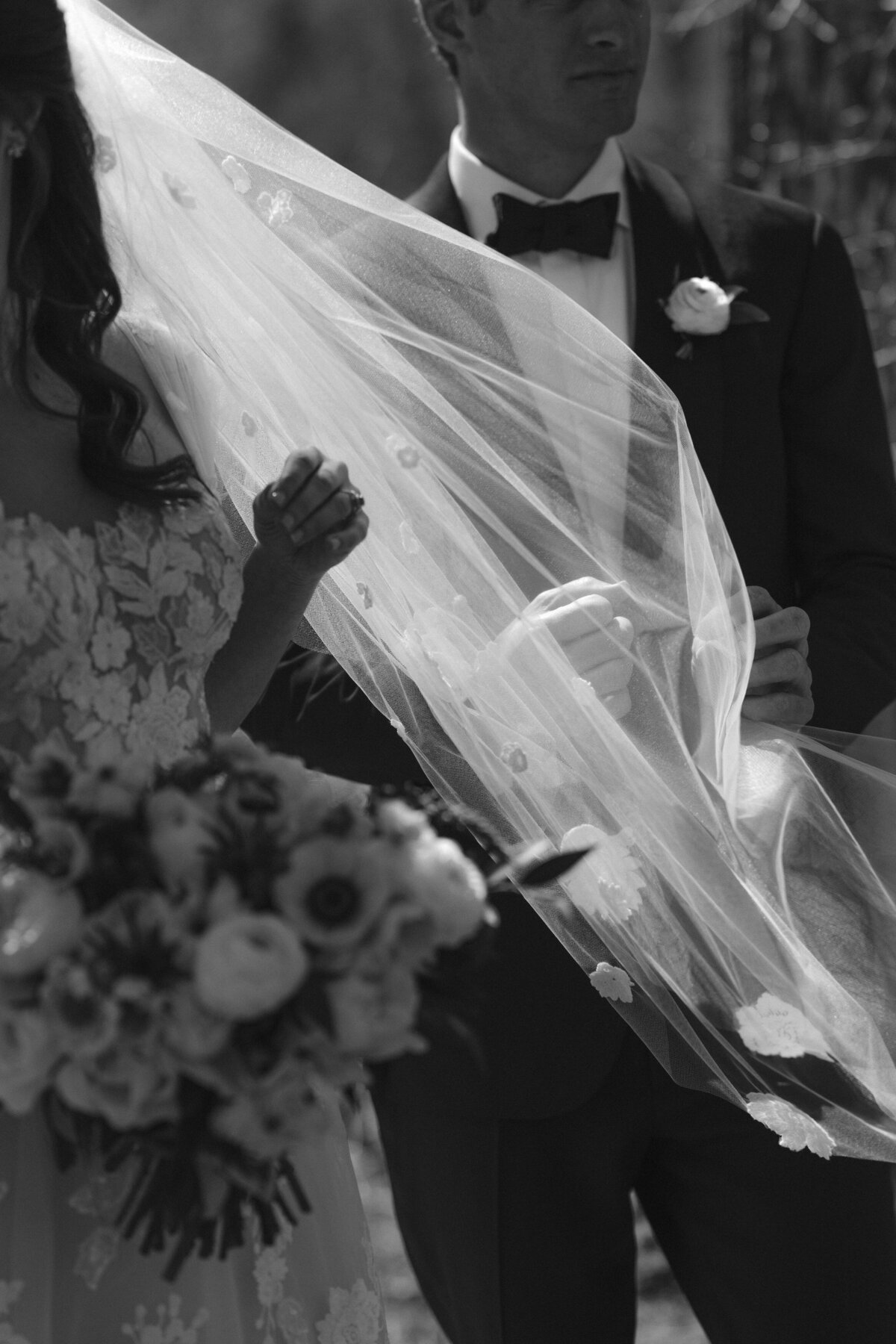black and white veil with sunlight