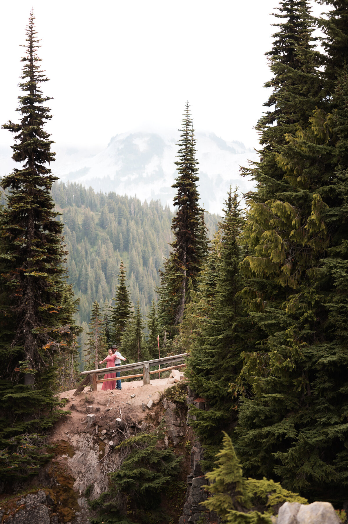Mt Rainier National Park Photographer