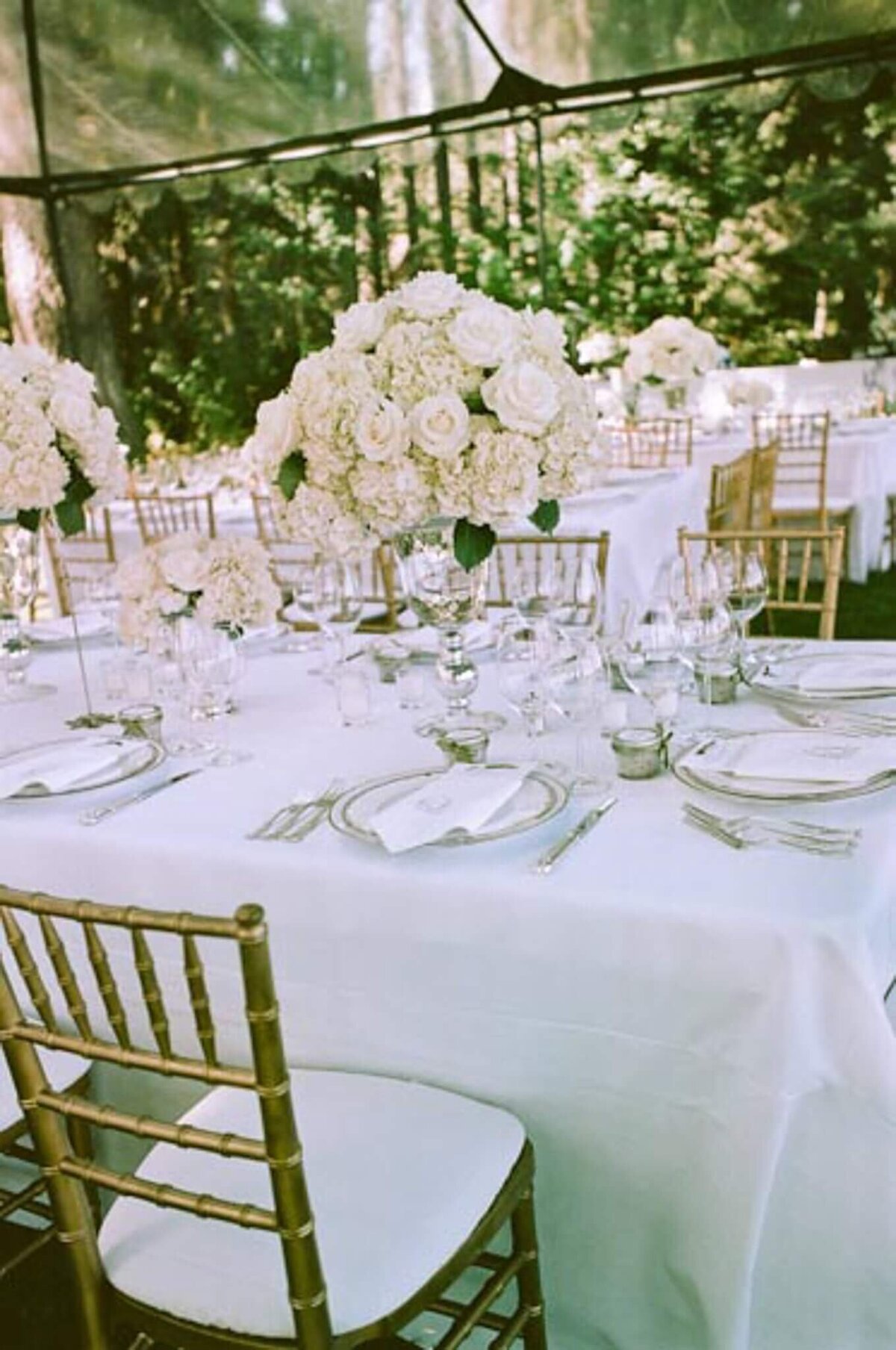 wedding reception details on table, place setting, flower centerpieces