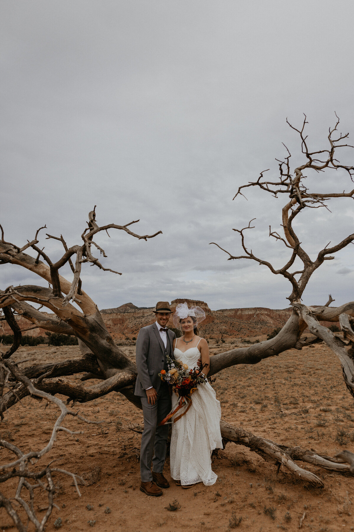 newlyweds posing  with a old dead tree in the desert