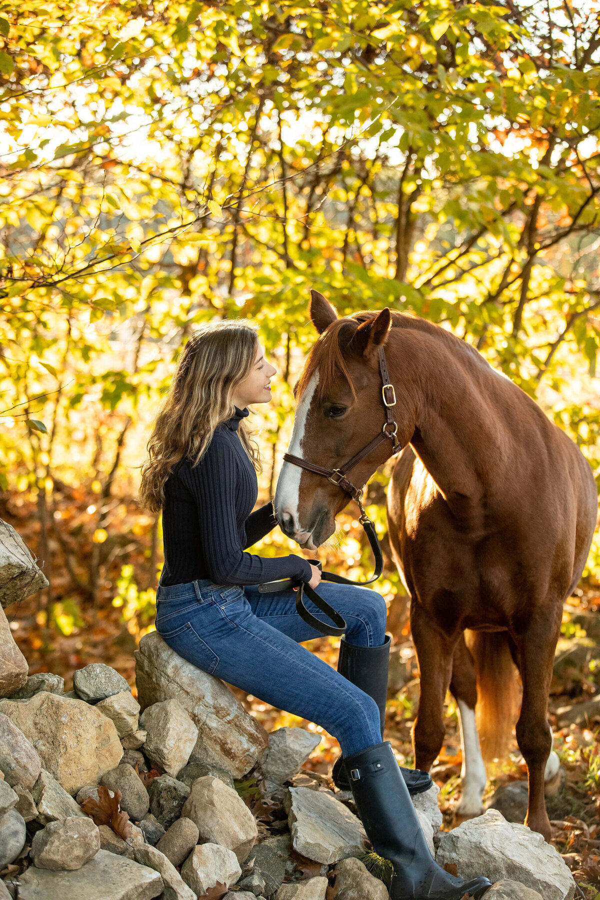 equestrian-horse-portraiture-photography-saratoga-ny-4
