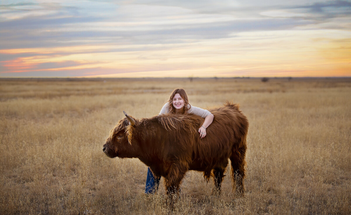 Girl in field hugging a mini highland cow