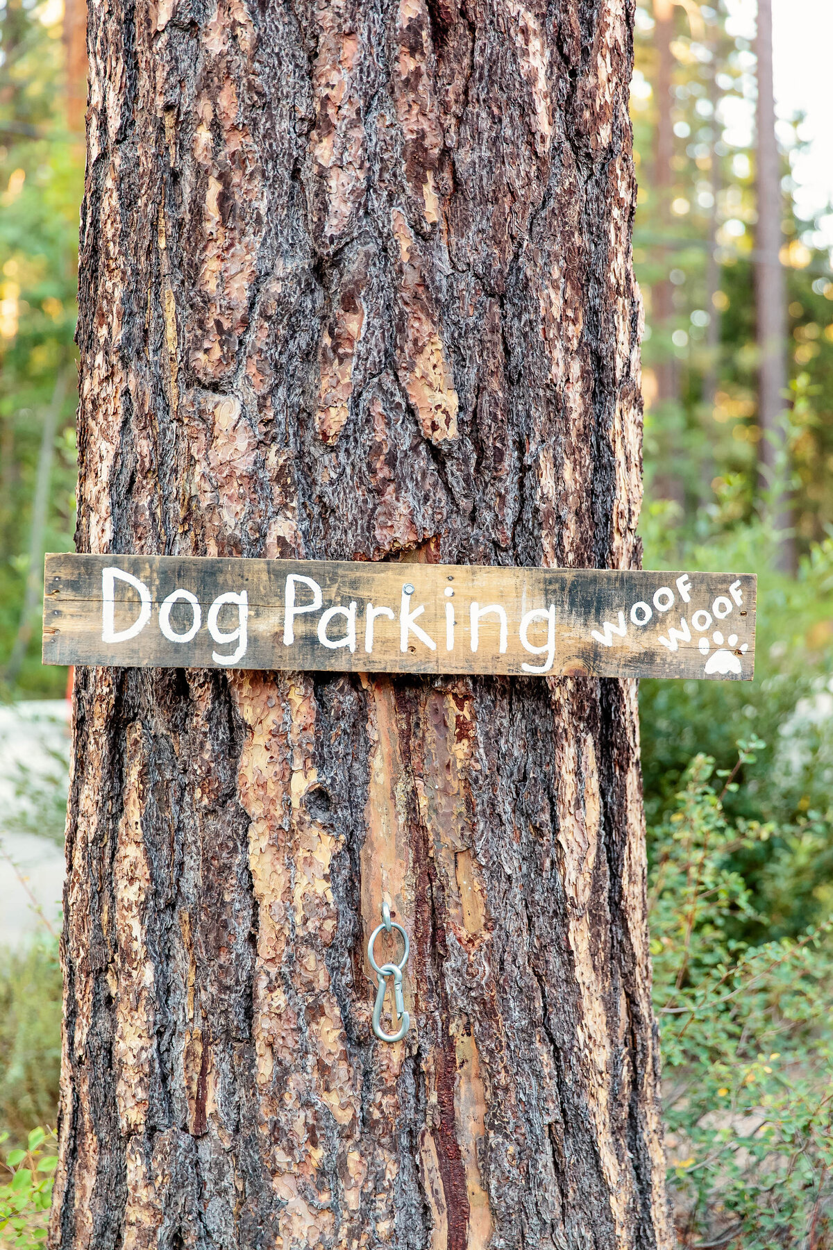 sugar-pine-cakery-dog parking-sign-lake-tahoe