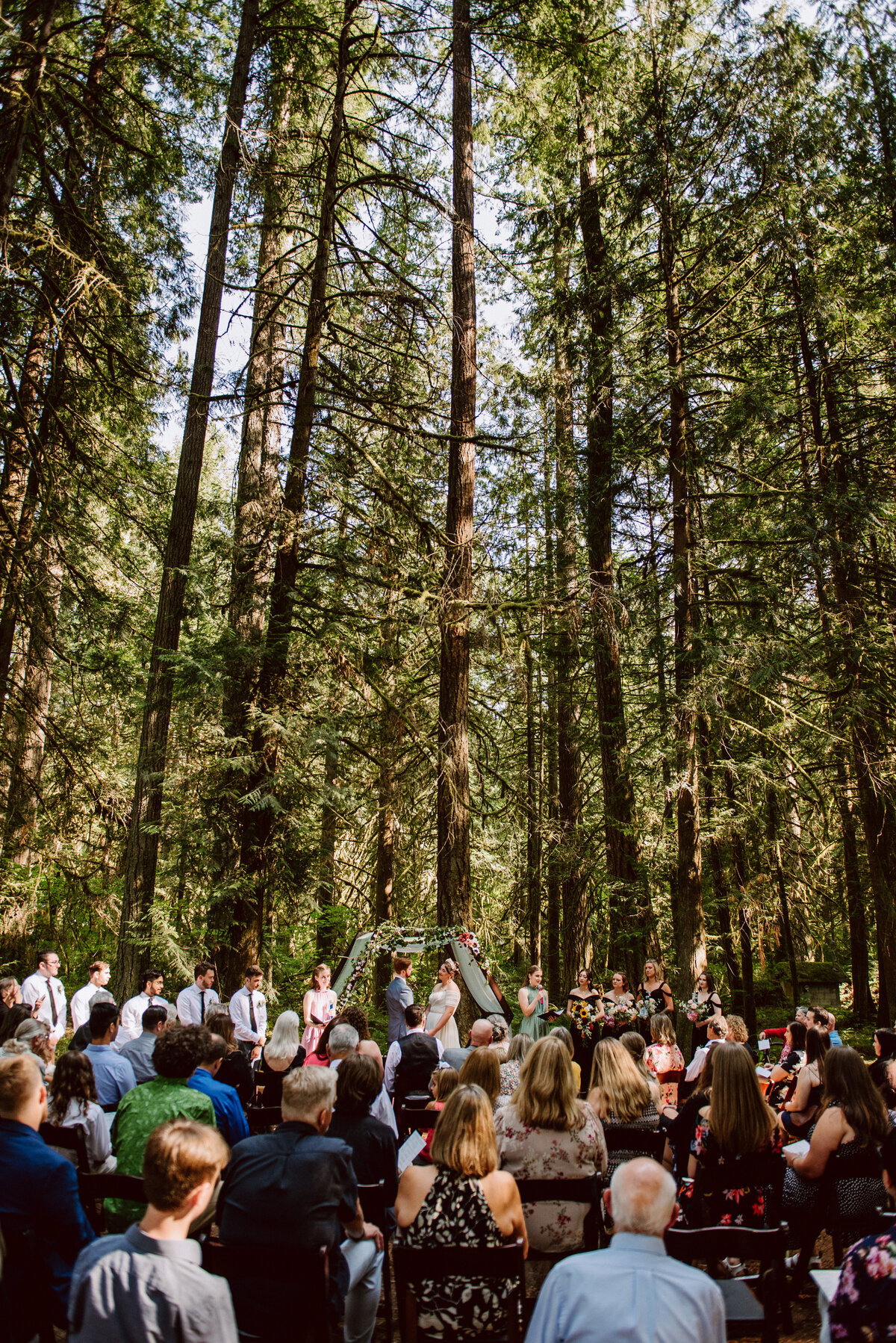 Camp Colton forest wedding