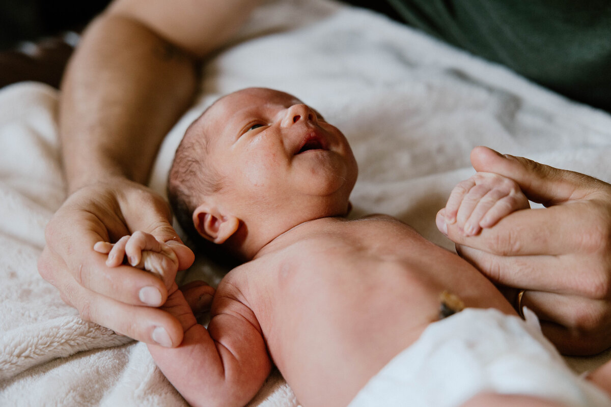 Family Photography in MN 