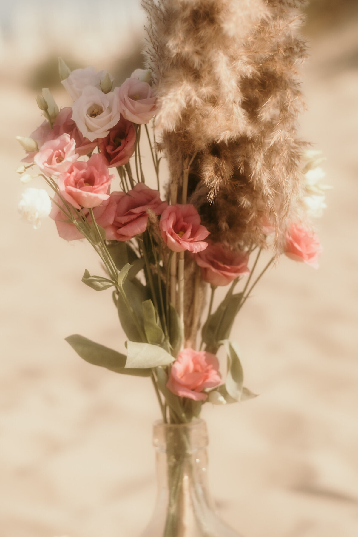 Rosa Langstielrosen und Pampasgras stehen als dekorativer Blumenstrauß in einer Glasflasche am Strand.
