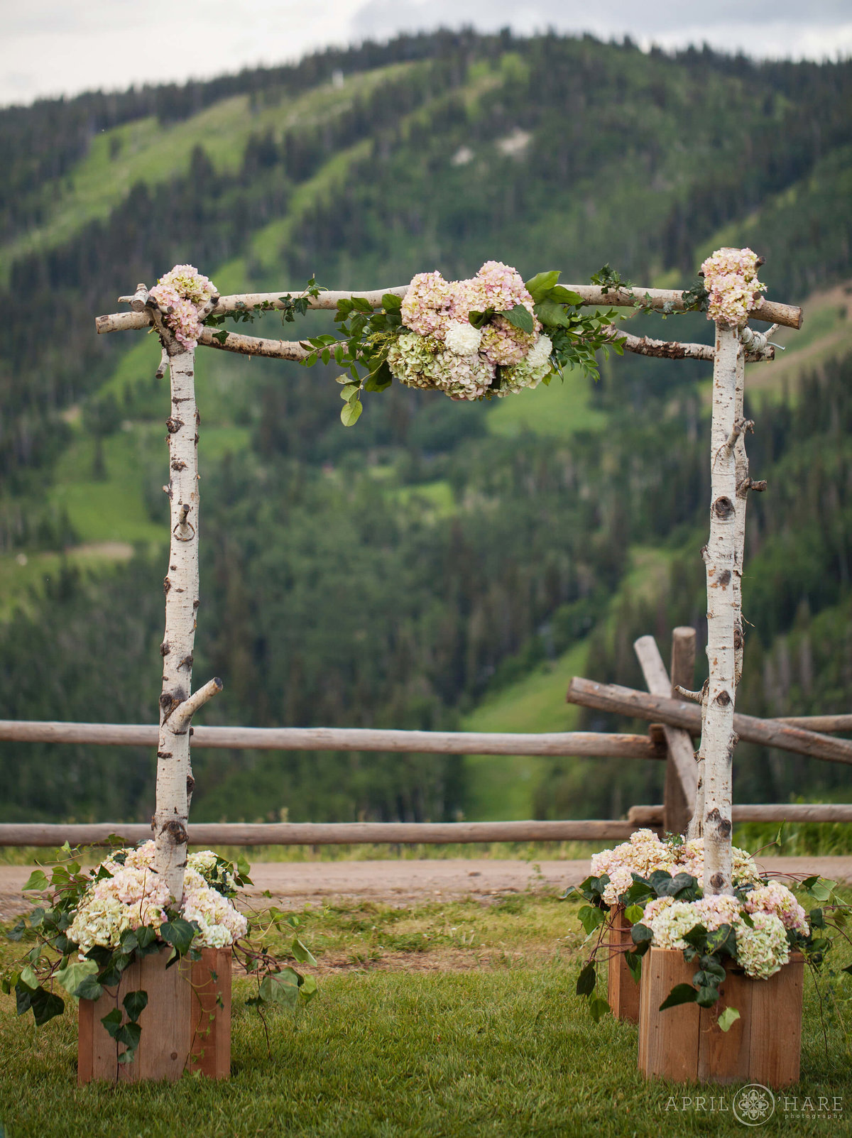 Steamboat Springs Wedding photography wedding arch birch wood with florals