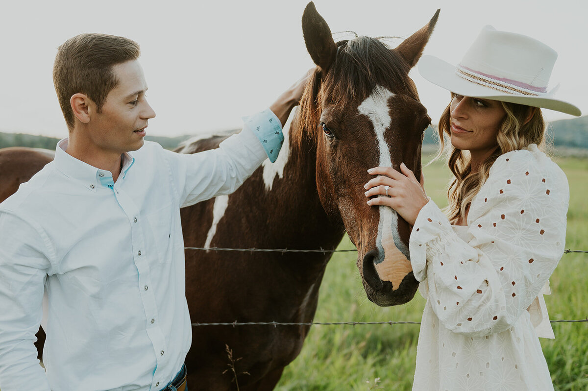 presley-gray-horse-pasture-engagement8872
