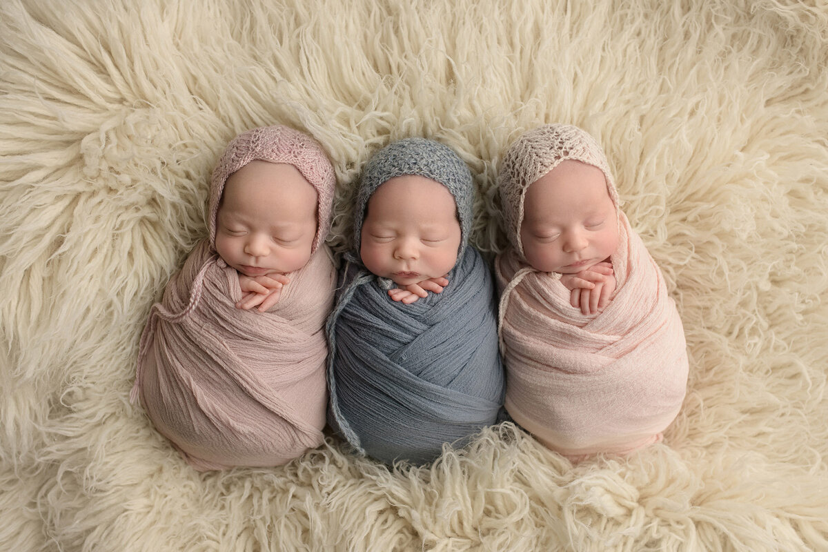 Triplet boston newborns wrapped in blankets