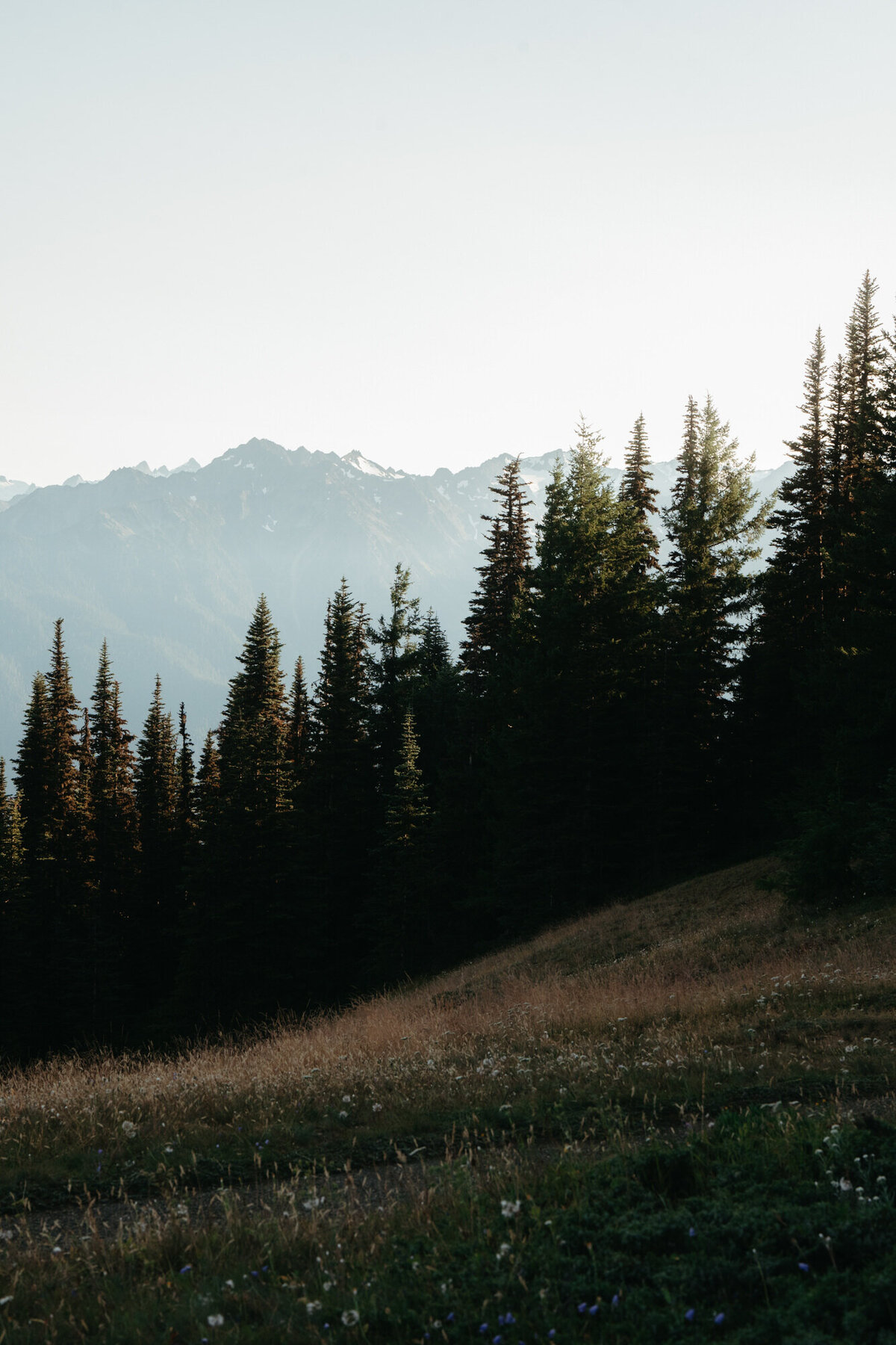 the_chaffins_international_destination_wedding_elopement_photographers_sammie_chaffin_micah_editorial_adventure_photos_travel_olympic_national_park_1