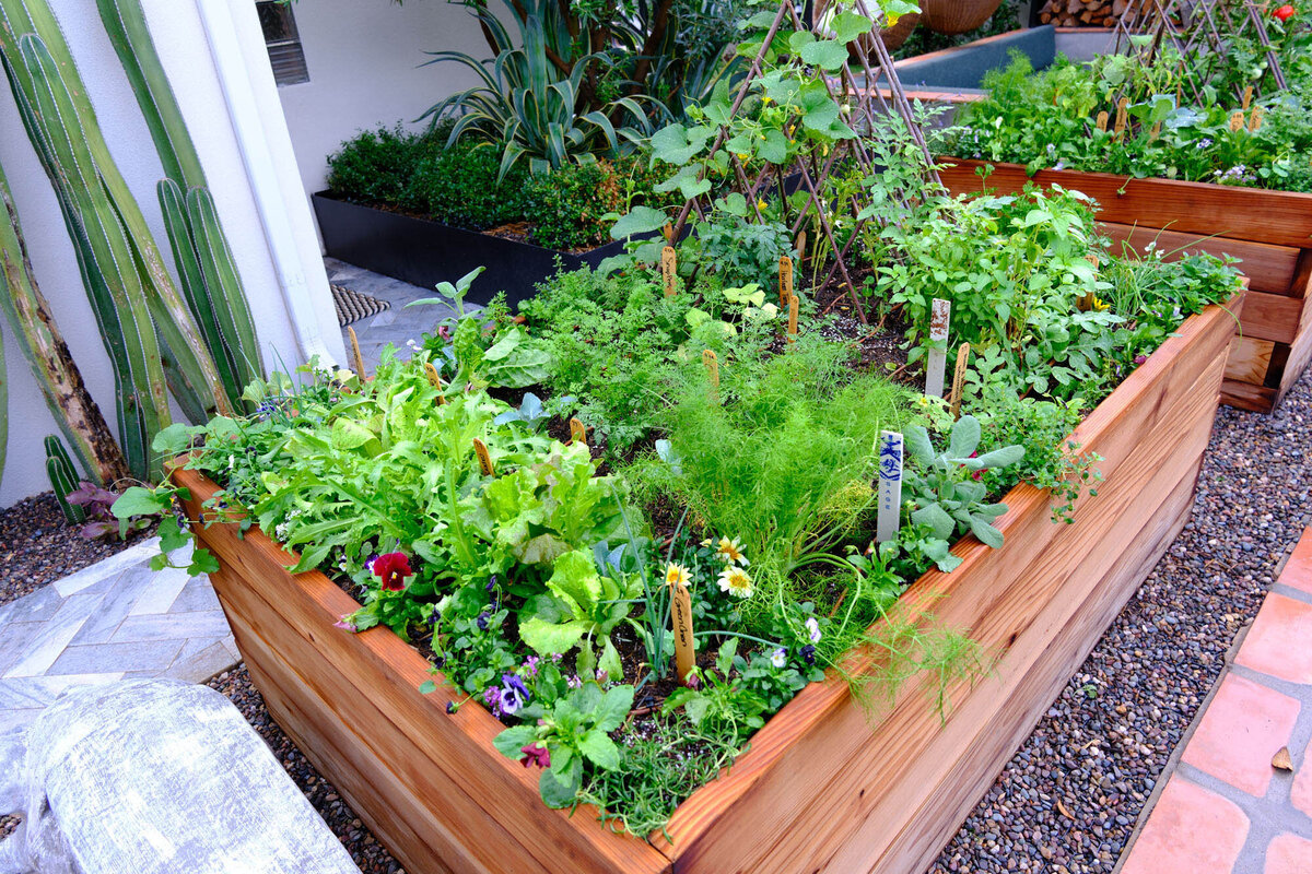 Willows-Garden-Le-Potager11