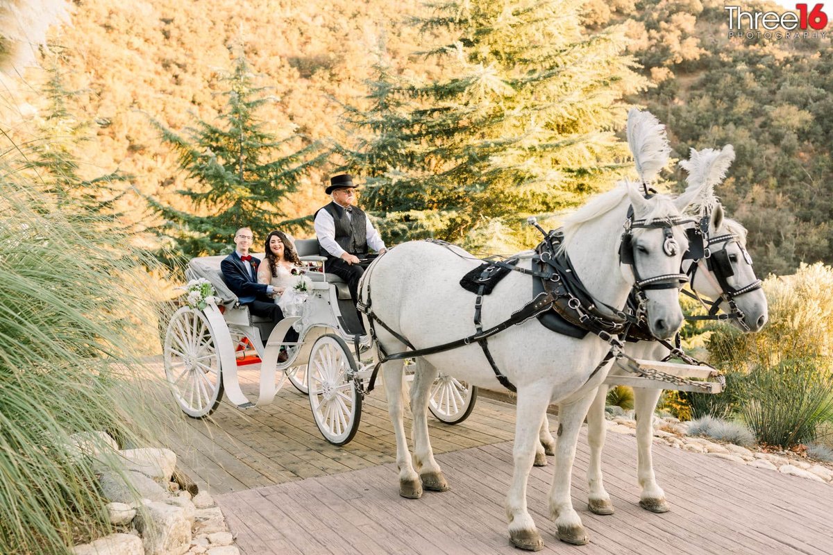 Bride and Groom ride in a horse and buggy