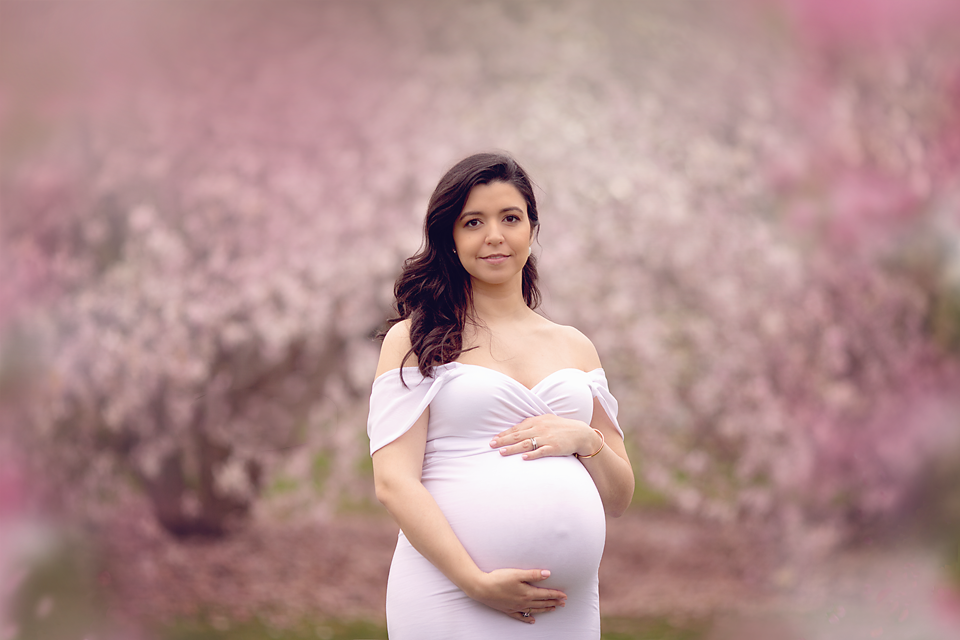 A mom to be in a pink maternity gown stands in a cherry tree field smiling and holding her bump