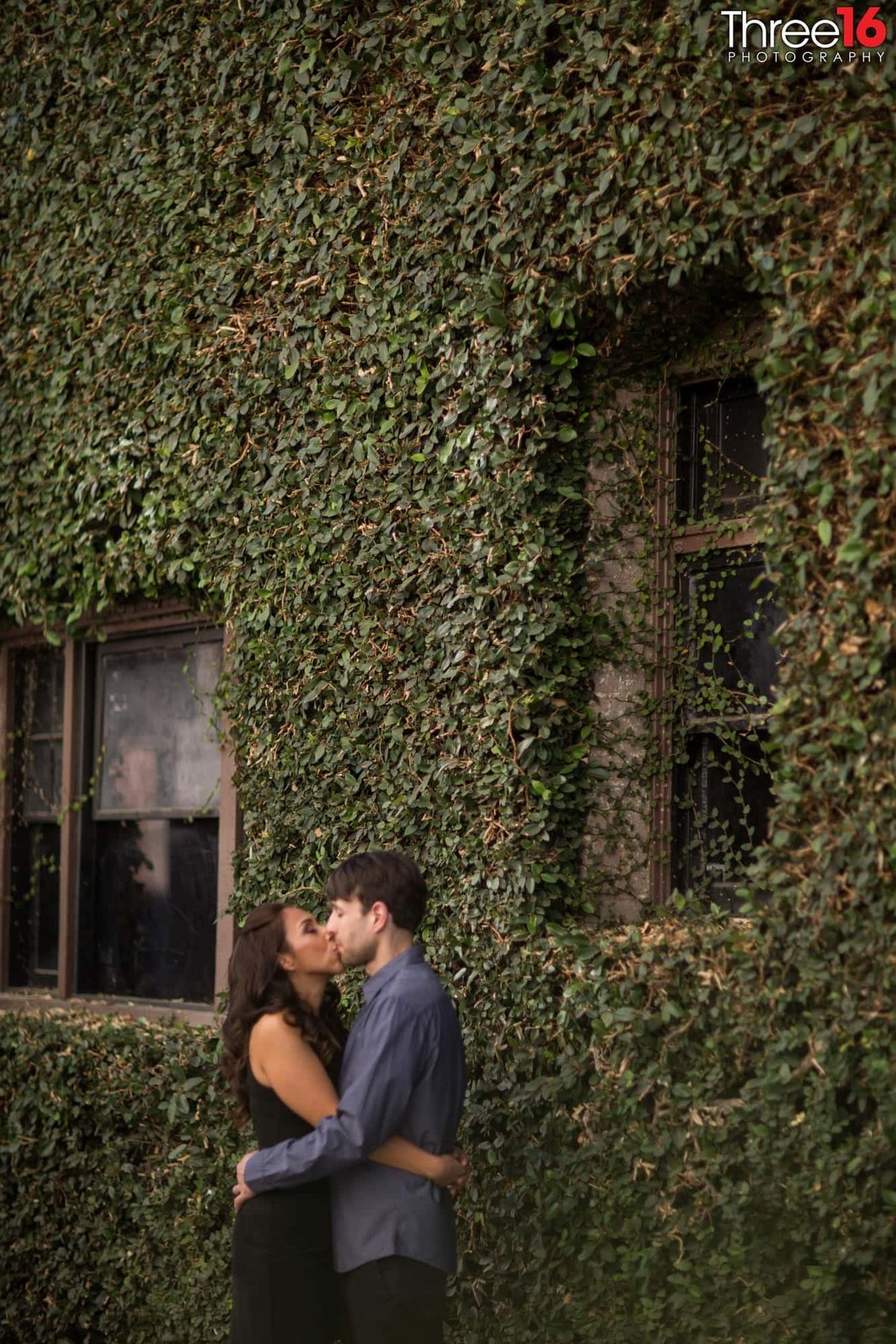 Engaged couple share a kiss as they embrace in front of an ivy covered wall