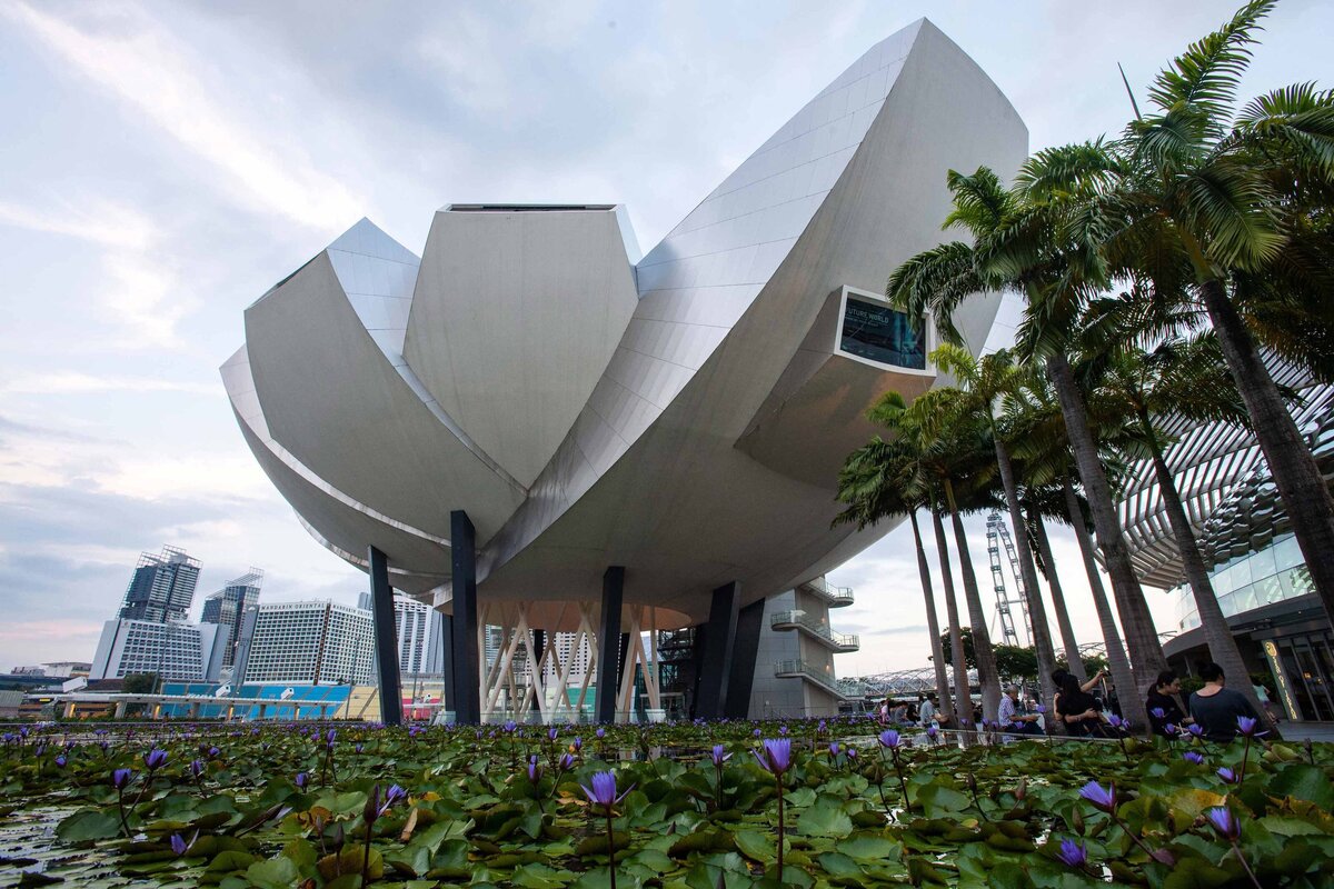 The ArtScience Building and Lilly Pond in Signapore. An museum experience for visitors.
