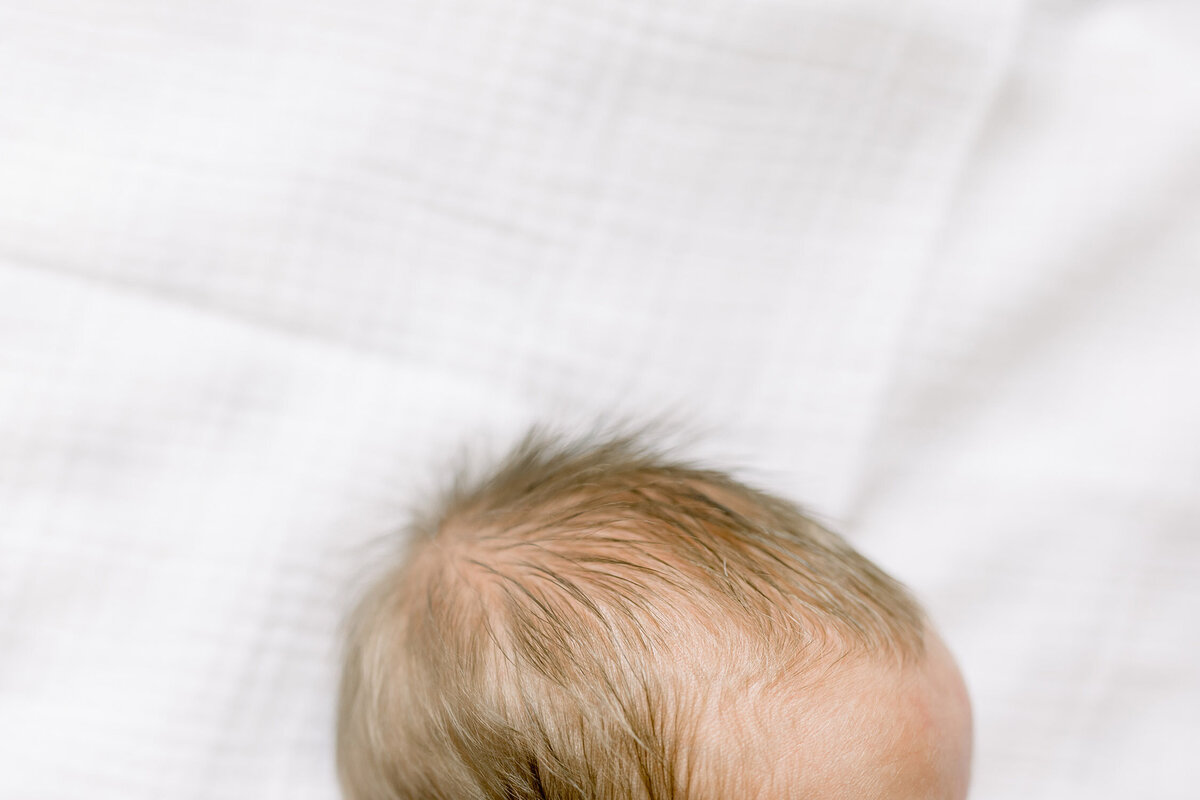 charleston-newborn-photographer-16