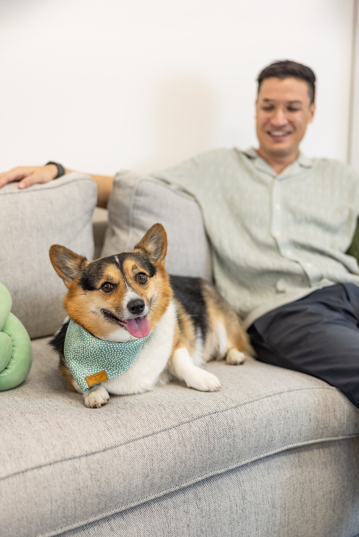 therapy-dog-pet-in-baltimore-maryland-during-therapist-brand-session