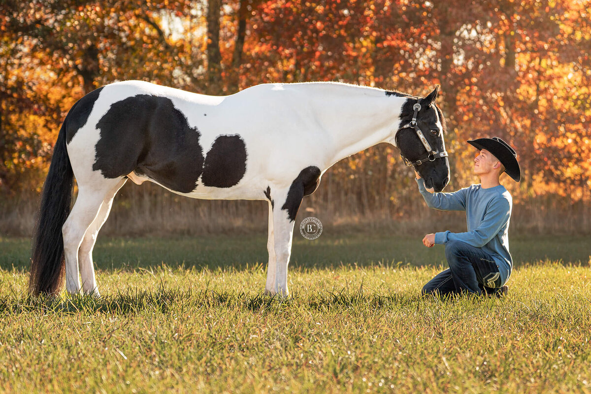 Southern-illinois-horse-photographer-#42