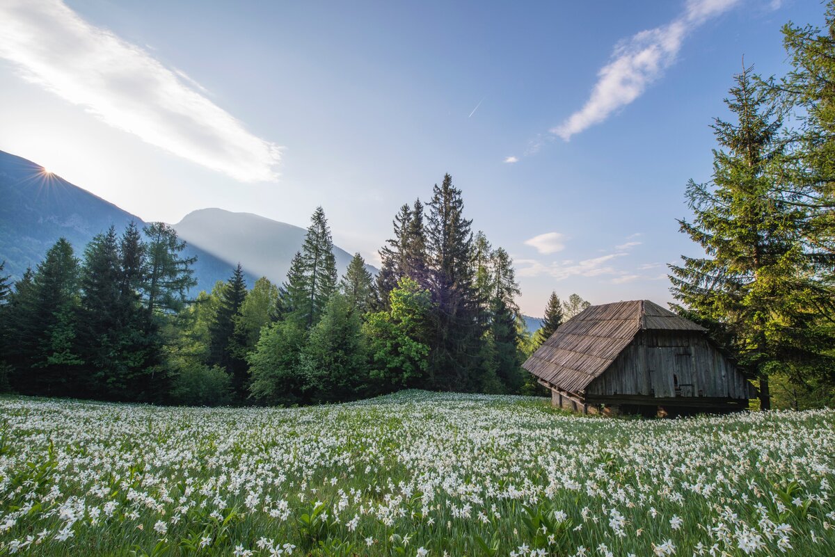 ales-krivec-okzxVsJNxXc-unsplash