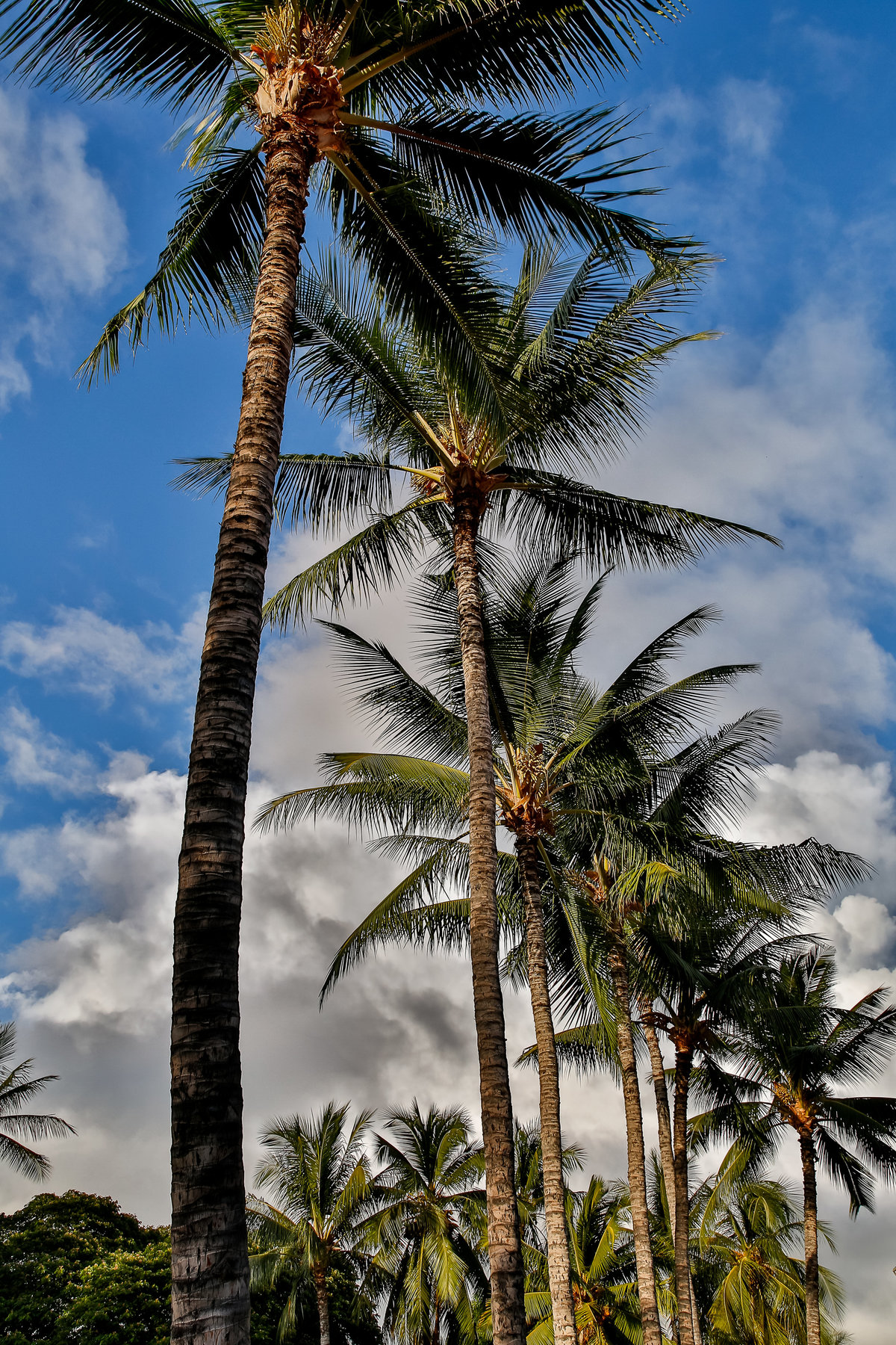 HawaiiSunset_ksmithphotography_006