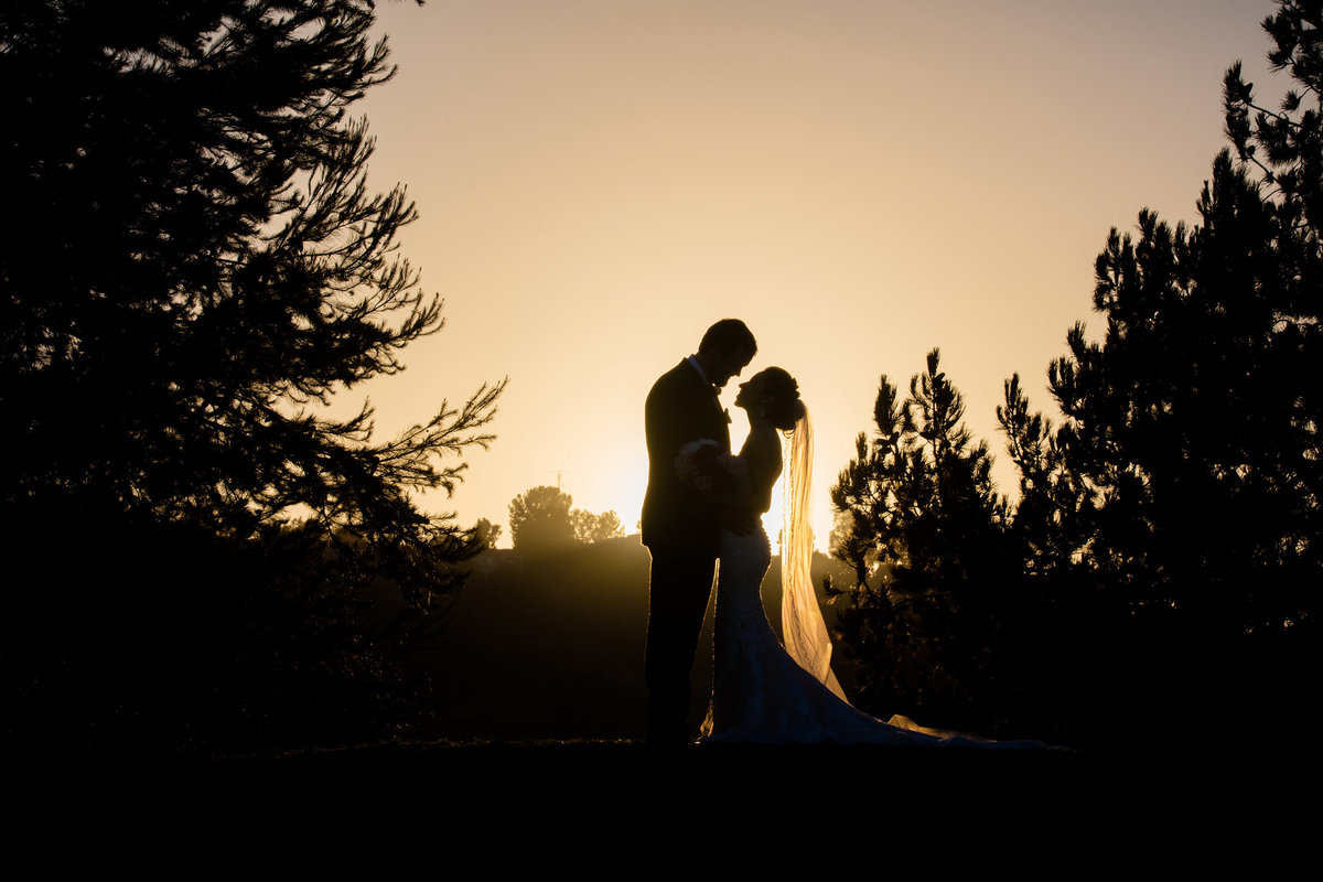 Ivette_Matt_Wedding-9416