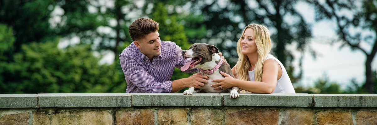 Engagement session with Pit Mix getting love