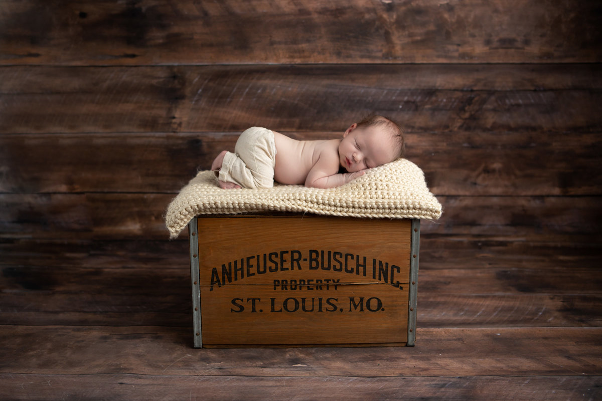 Maternity Newborn - Holly Dawn Photography - Wedding Photography - Family Photography - St. Charles - St. Louis - Missouri-68