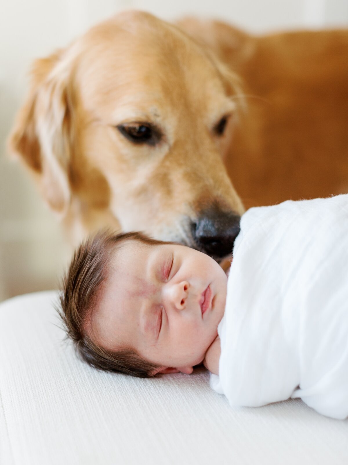 best-charlottesville-family-newborn-photographer-amy-nicole-photography_0113