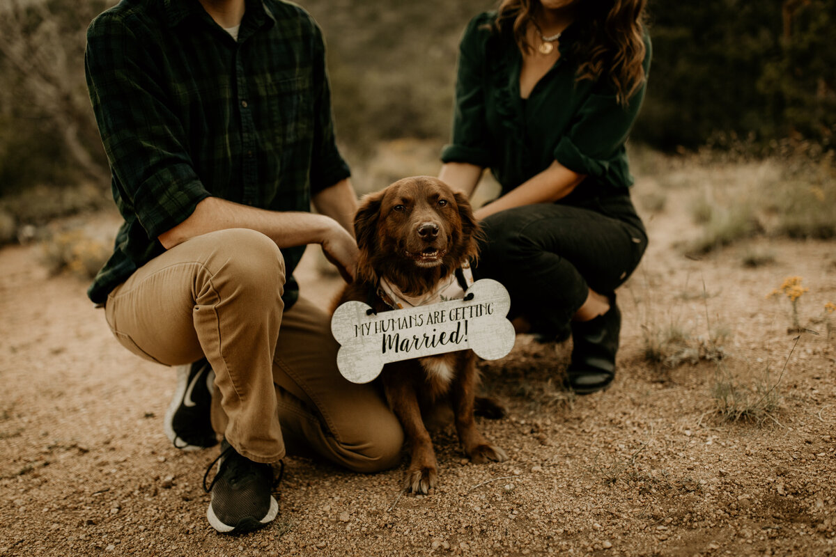 engaged couple holding dog at the Albuquerque foothills in New Mexico