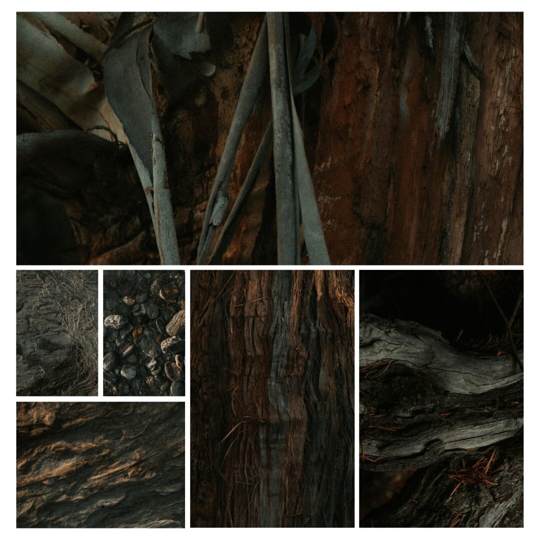 Photography-Textures-Bark-and-Stone