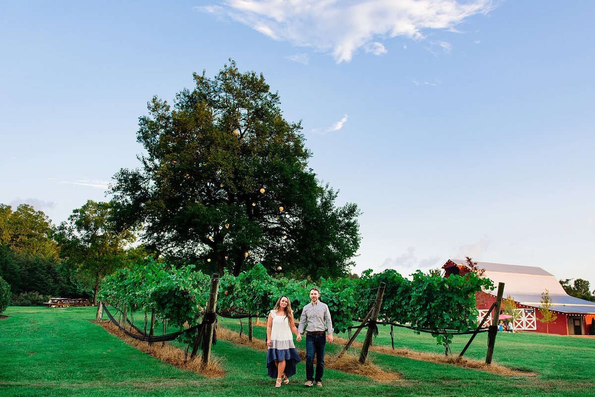 Landscape photo of Arrington Vineyards with red barn and Oak tree behind an engaged couple who are holing hands smiling at the camera