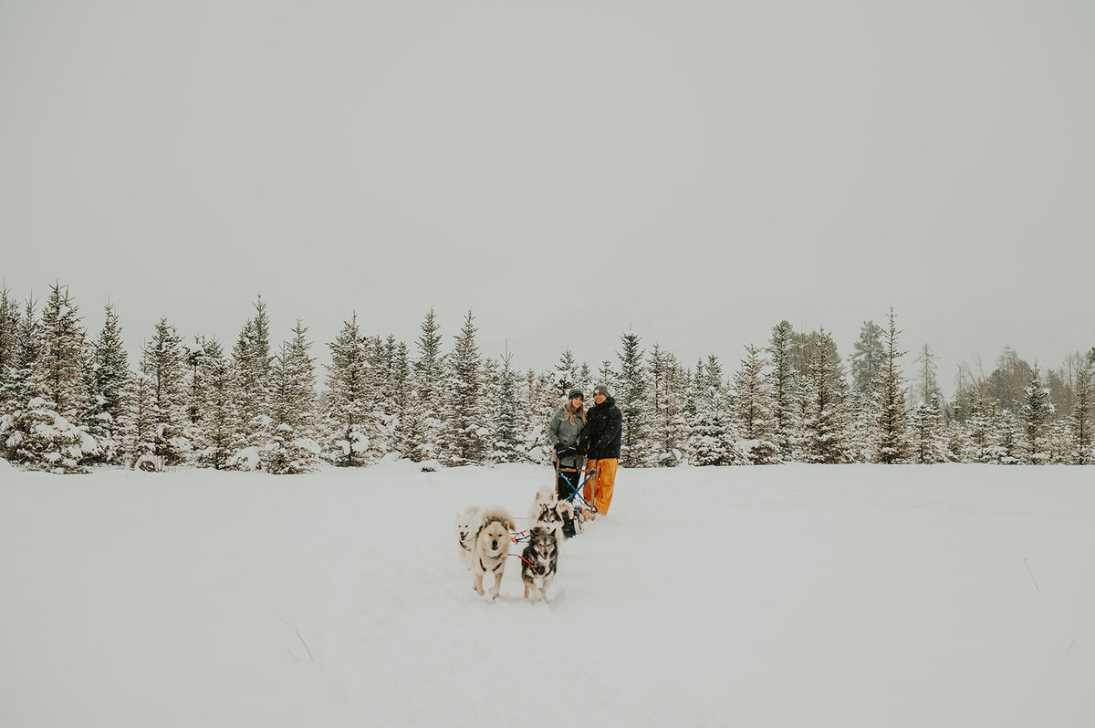 winter-montana-dog-sledding-proposal-presley-gray-photo-7438