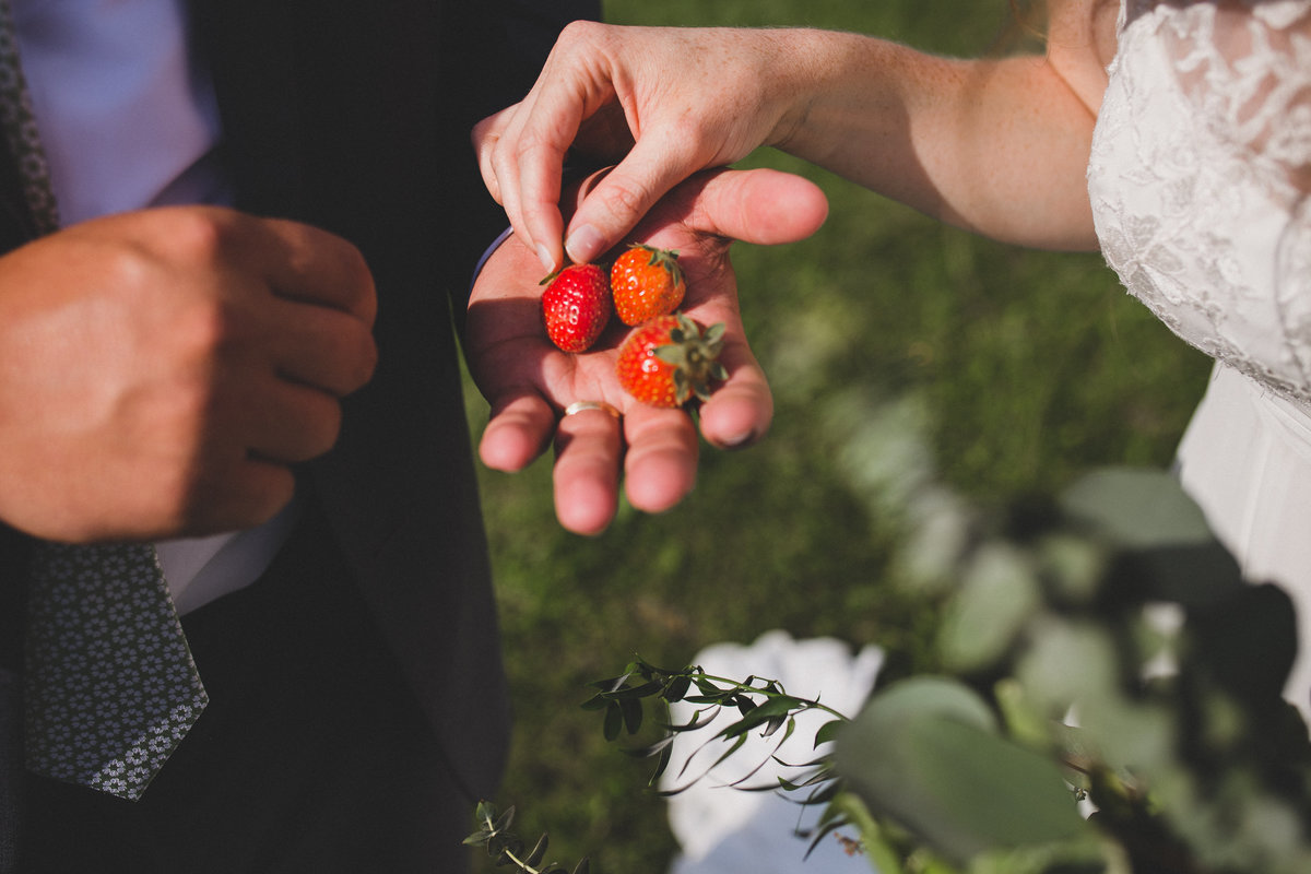 strawberries-farm-wedding-photographer