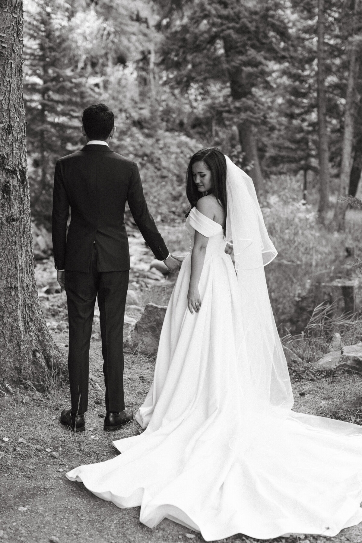 AhnaMariaPhotography_Wedding_Colorado_Daphne&Cy-99